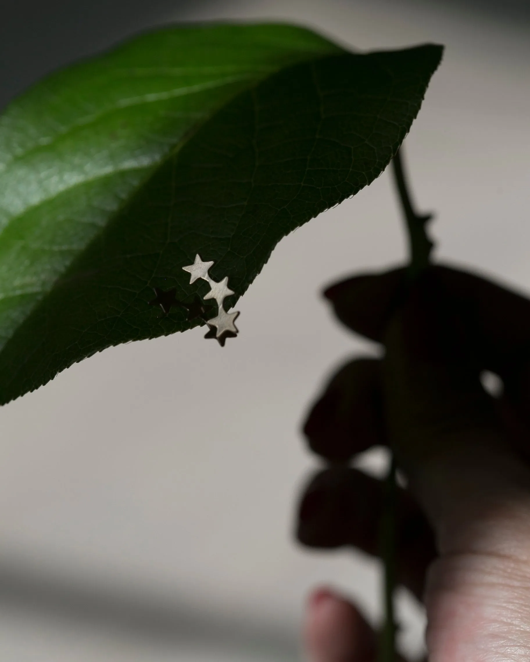 14k Star Climber Earrings