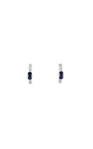 Bassali Earrings ER12463WDS