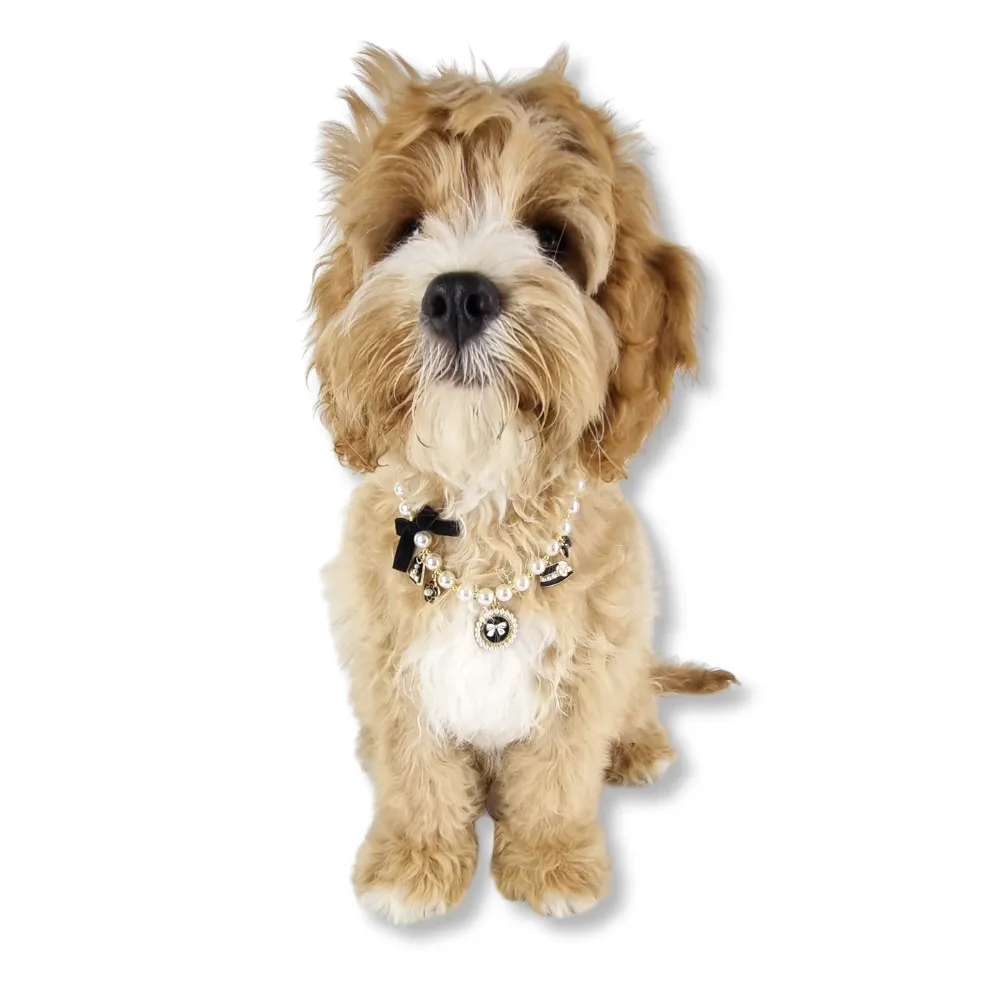 Coco Pearl Dog Necklace