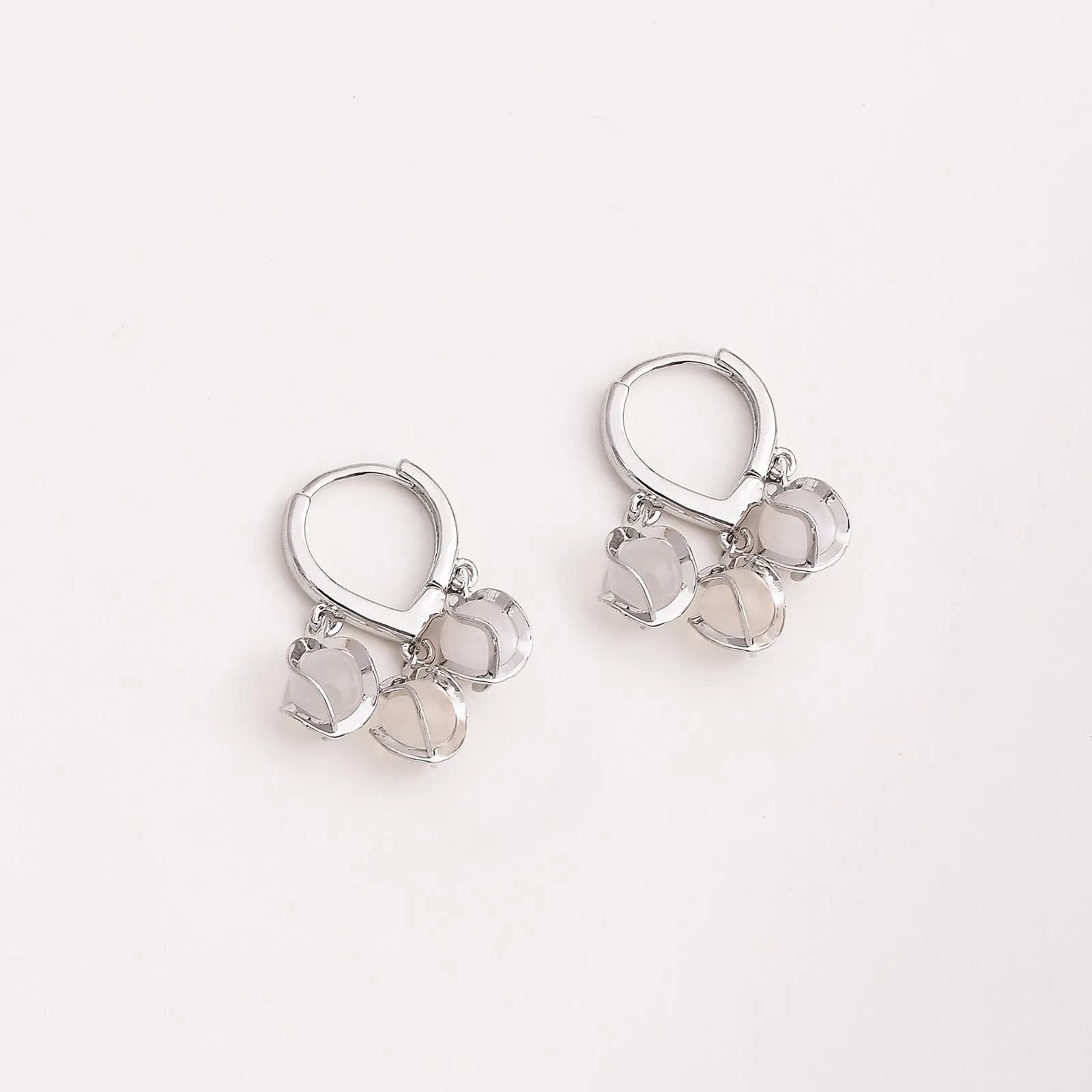 Daphne Fashionable Hoop Earrings