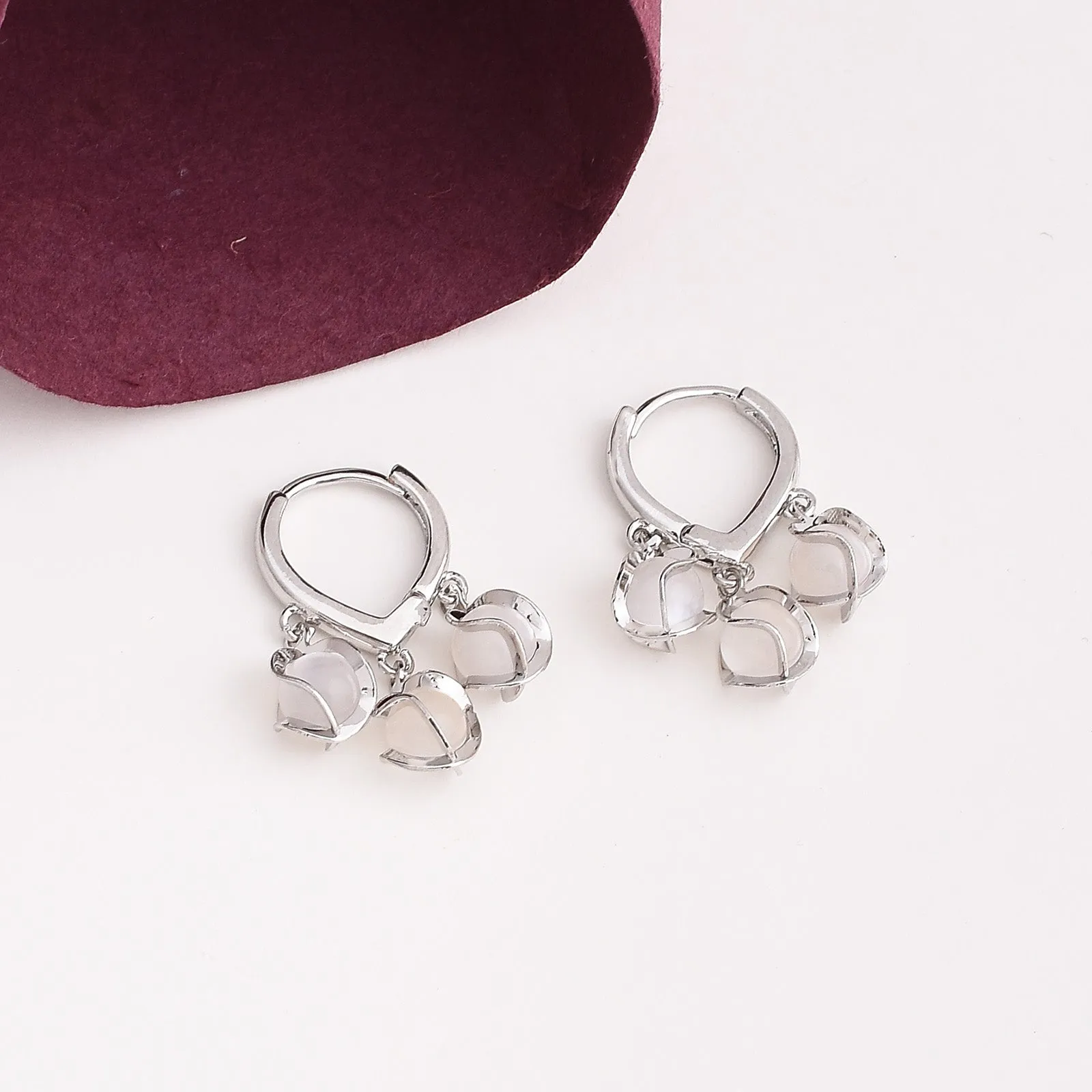 Daphne Fashionable Hoop Earrings