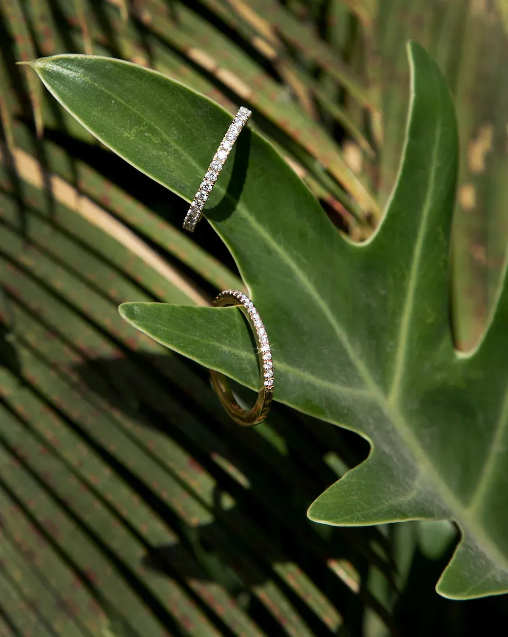 Micro Pavé Eternity Band