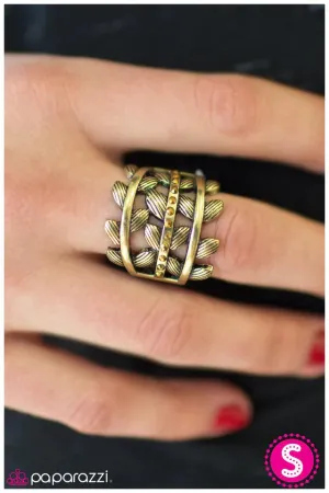 Paparazzi Ring ~ The Falling Leaves - Brass