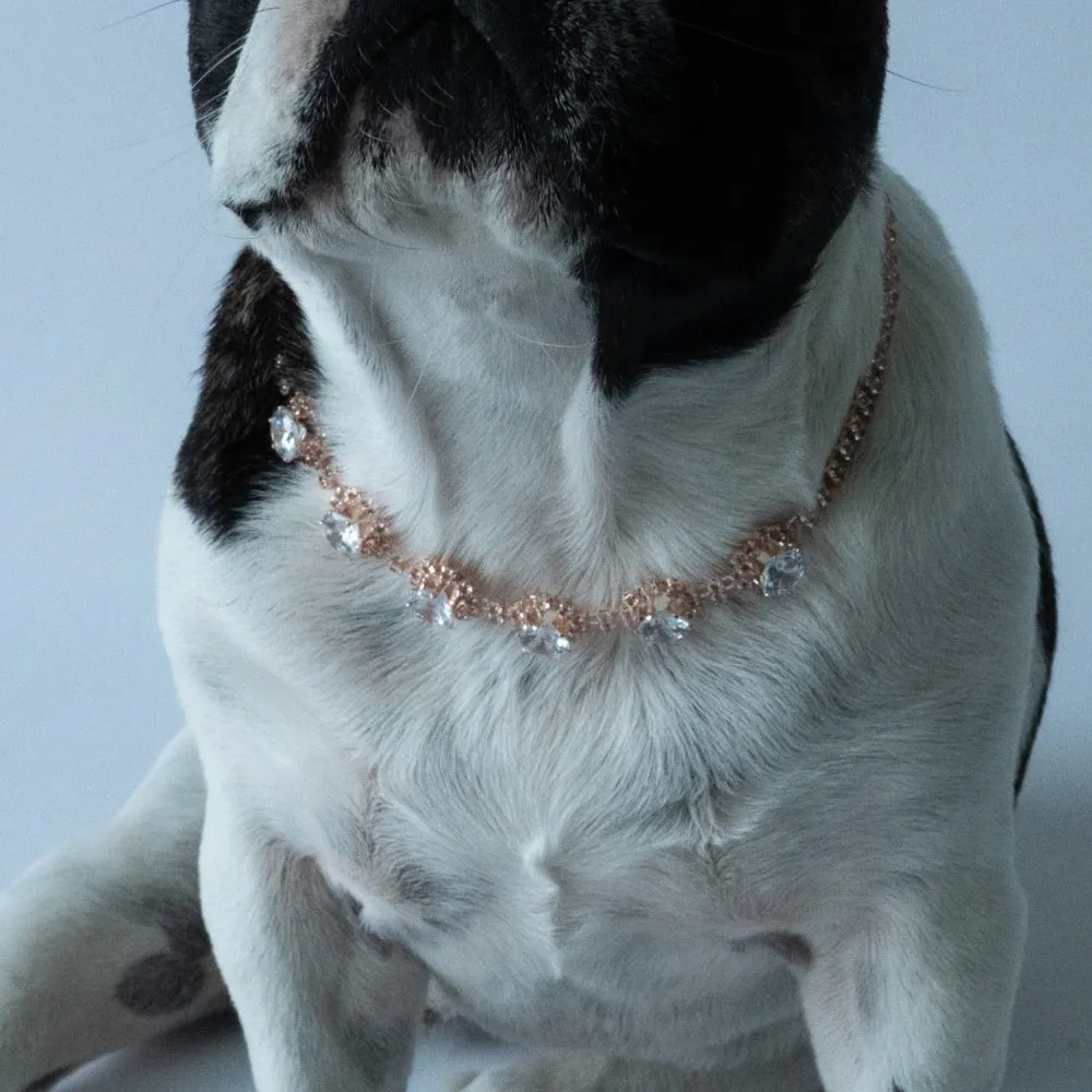 Rose Gold Diamante Solitaire Dog Necklace