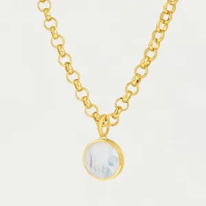 Signature Collar