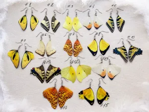 Swallowtail Butterfly Wing Earrings Lightweight and Drag Attention